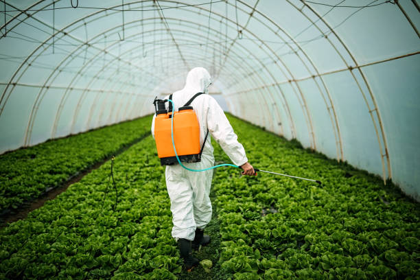 Best Local Pest Control Services  in Locust Grove, OK