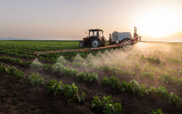 Trusted Locust Grove, OK Pest Control Experts