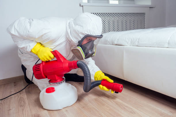 Best Pest Control for Homes  in Locust Grove, OK