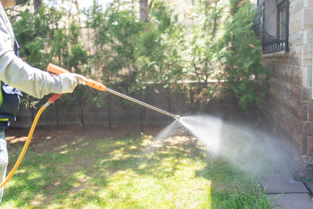 Best Residential Pest Control  in Locust Grove, OK