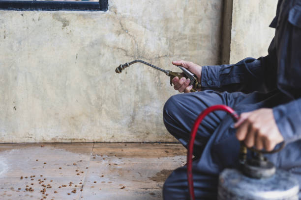 Reliable Locust Grove, OK Pest Control Solutions